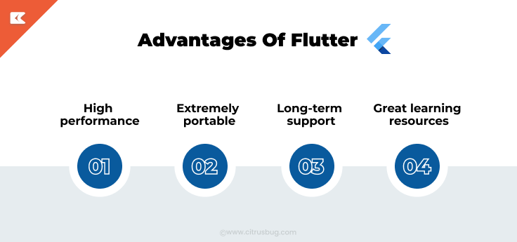 advantages of flutter