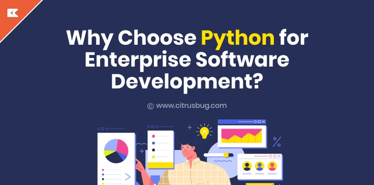 python enterprise software development india