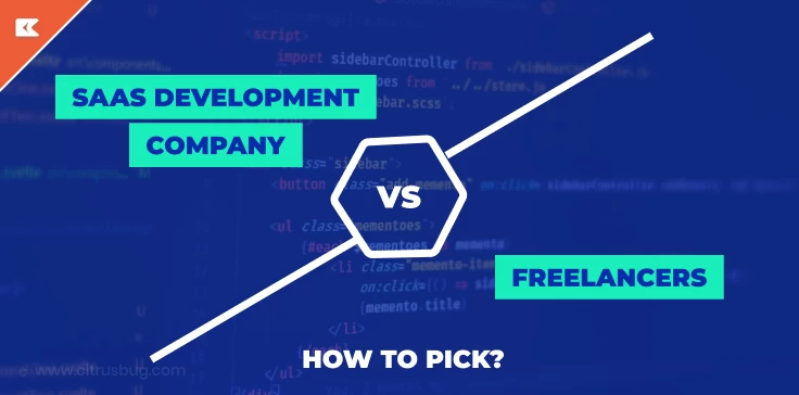 saas development company  vs freelancer